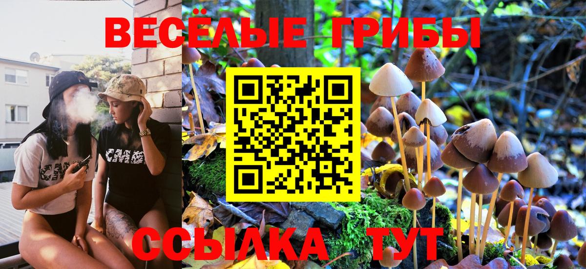 Псилоцибиновые грибы Psilocybine cubensis Махачкала