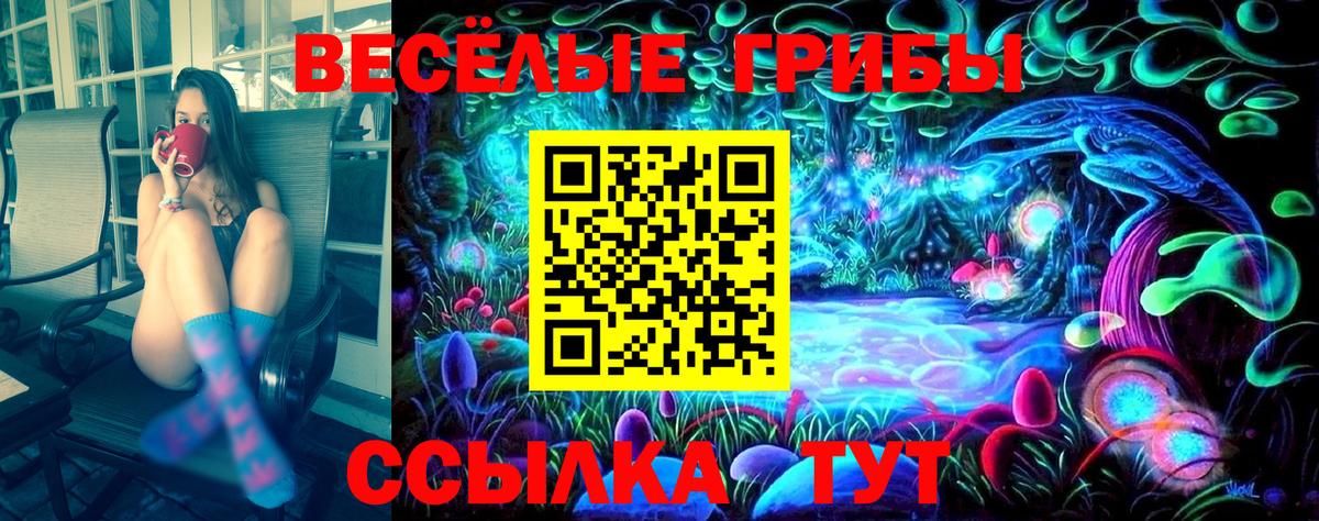 Махачкала  Псилоцибиновые грибы MAGIC MUSHROOMS  Вход с VPN 
